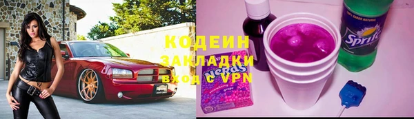 ECSTASY Алзамай