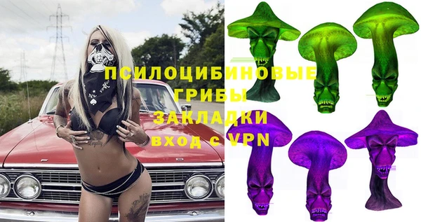 ECSTASY Алзамай