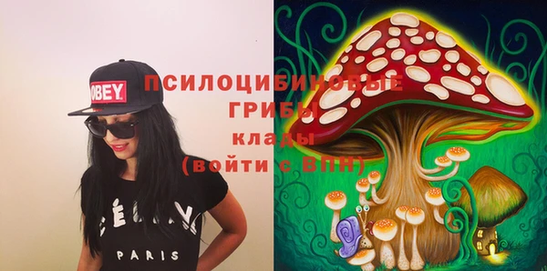 ECSTASY Алзамай