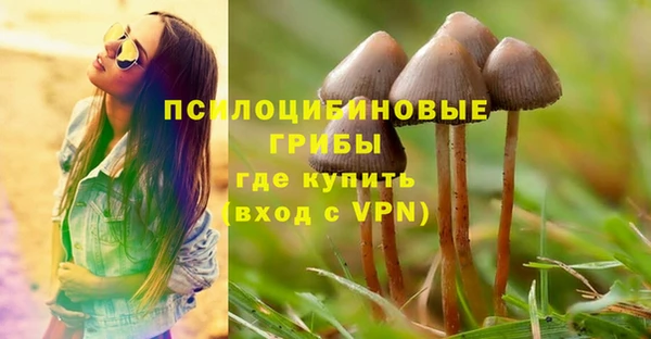 ECSTASY Алзамай