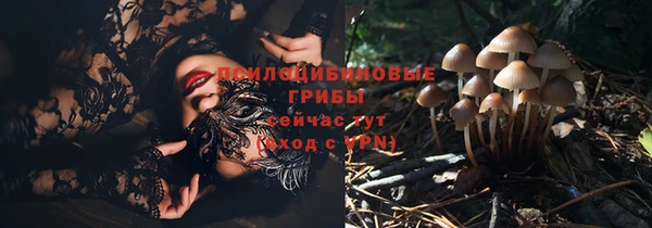 ALPHA PVP Костерёво
